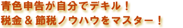 大家さんのための超簡！青色申告